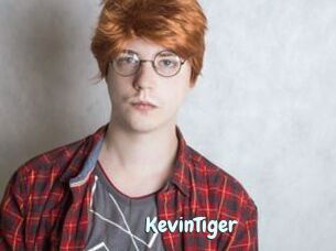 KevinTiger