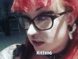 Kitten6