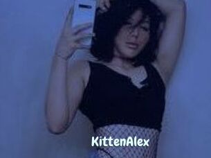 KittenAlex