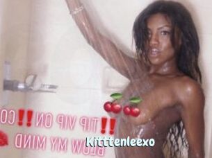 Kitttenleexo