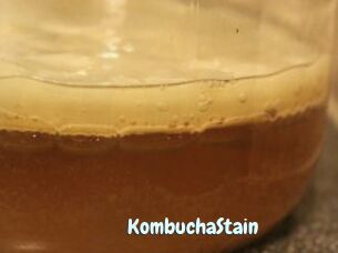 KombuchaStain