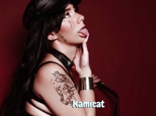 Kamicat