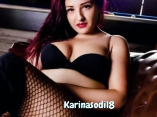 Karinasodi18