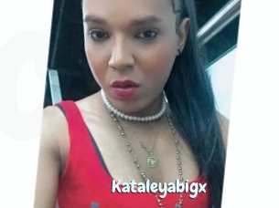 Kataleyabigx