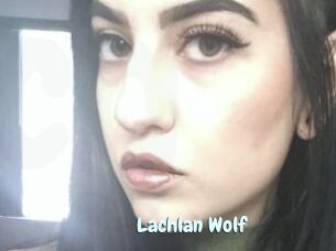 Lachlan_Wolf