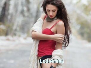 LediAmina