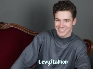 LevyStallion
