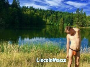 Lincoln_Maize