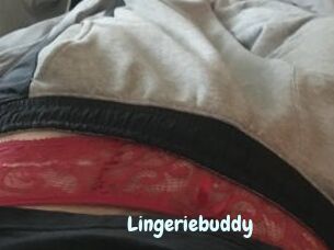Lingeriebuddy