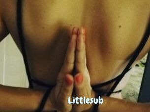 Littlesub