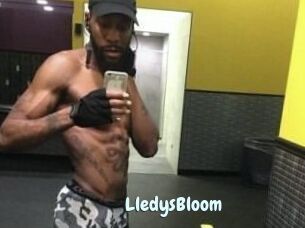 Lledys_Bloom