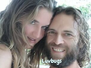 Luvbugs