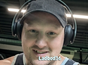 Ladbod36