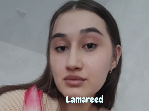 Lamareed