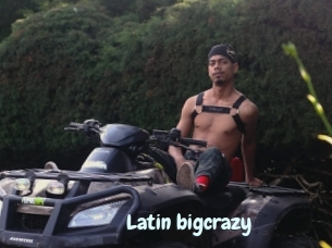 Latin_bigcrazy