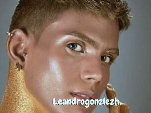 Leandrogonzlezh