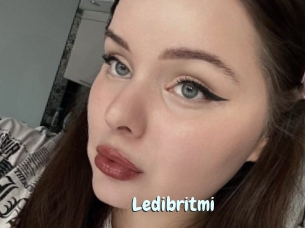 Ledibritmi