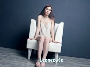 Leonecute
