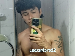 Leosantoro22