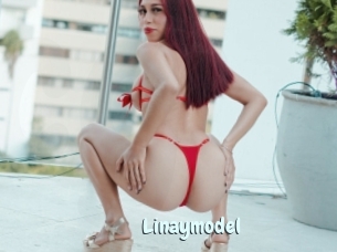 Linaymodel