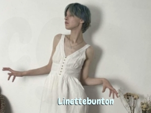Linettebunton