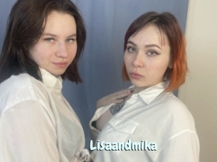 Lisaandmika