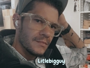 Litlebigguy