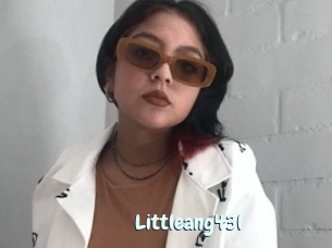 Littleang43l