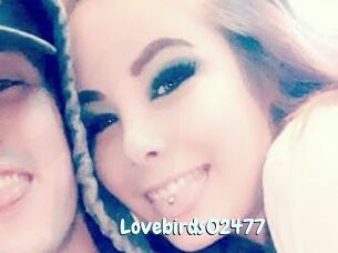 Lovebirds02477