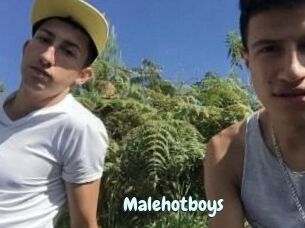 Malehotboys