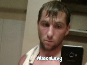 Mason_Levy