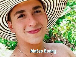 Mateo_Bunny