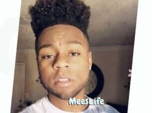 MeesLife
