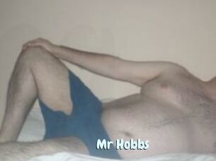 Mr_Hobbs
