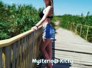 Mysterious_Kitty