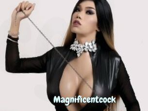 Magnificentcock