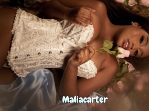 Maliacarter