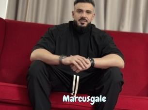 Marcusgale