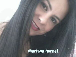 Mariana_hornet