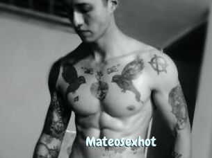 Mateosexhot