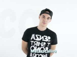 Mattestallion