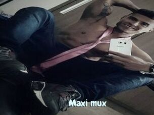 Maxi_mux