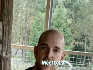 Meesterv