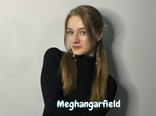 Meghangarfield