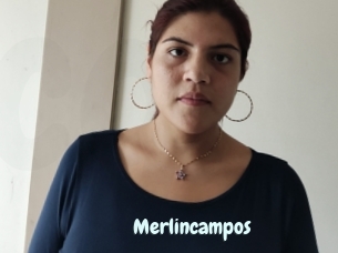 Merlincampos
