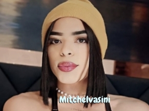 Mitchelvasini