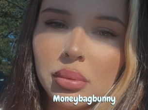 Moneybagbunny