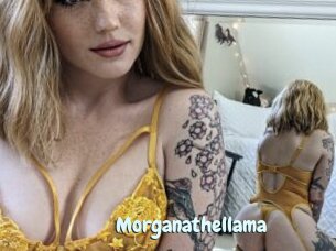 Morganathellama