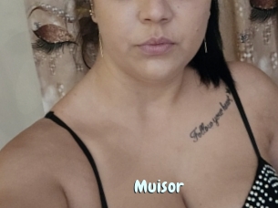 Muisor