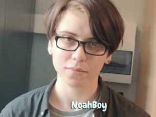 NoahBoy